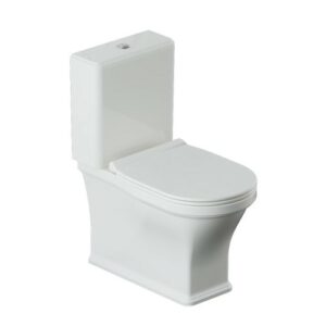 Rimless Bowl With Cistern For Coupled Toilet